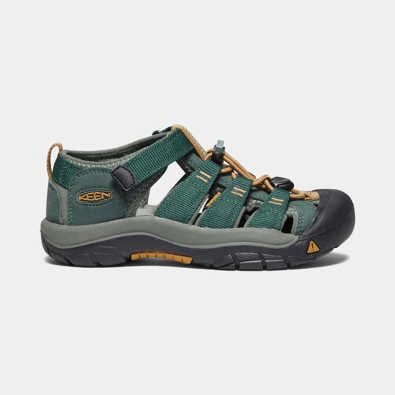 Sandalias Keen Newport H2 Para Niños Verdes Oscuro - Sandalias Keen Mexico (837296-DFW)